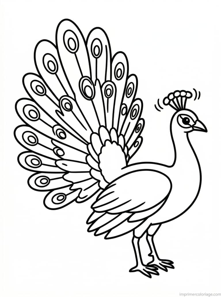 coloriage paon frissonne - dessin gratuit &agrave; imprimer