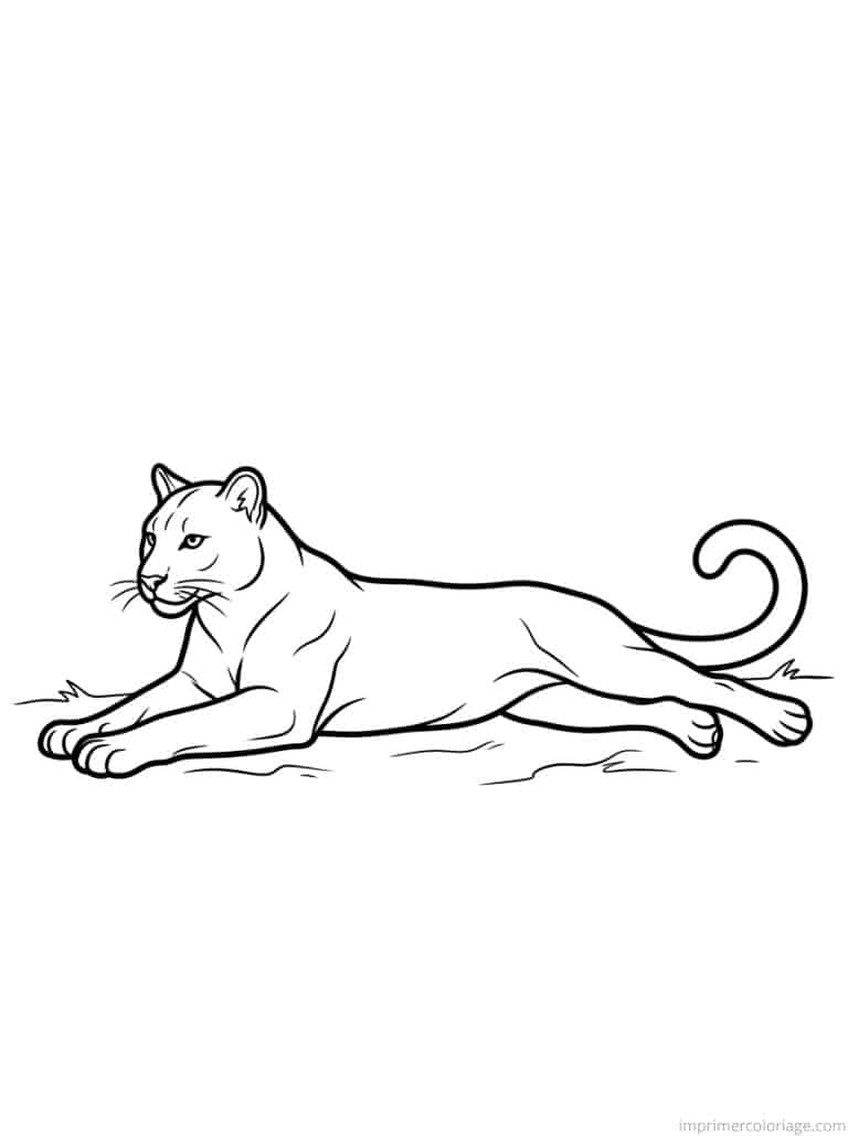 coloriage puma allonge repos - dessin gratuit &agrave; imprimer