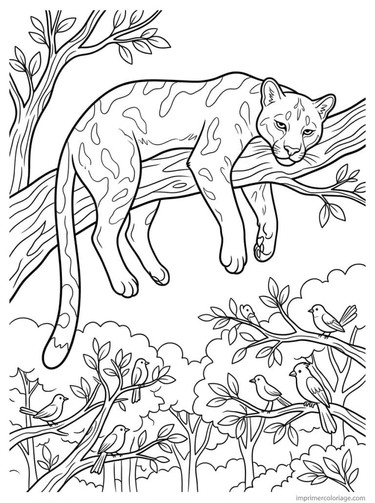 coloriage puma arbre branche oiseaux - dessin gratuit &agrave; imprimer