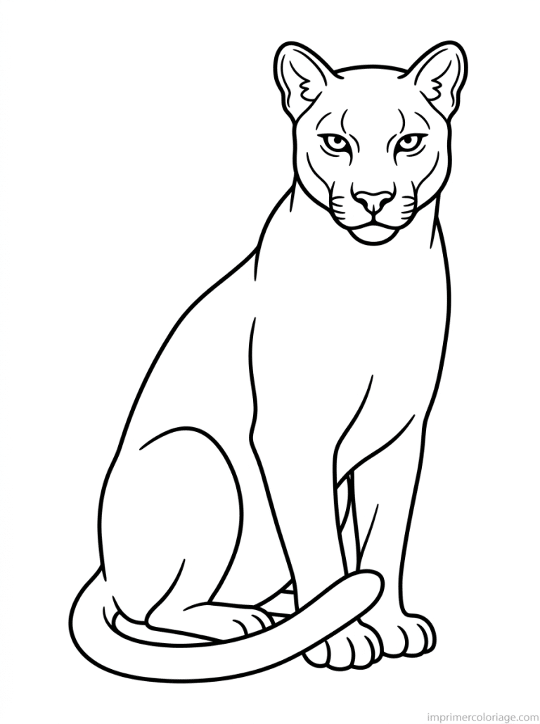 coloriage puma assis alerte - dessin gratuit &agrave; imprimer