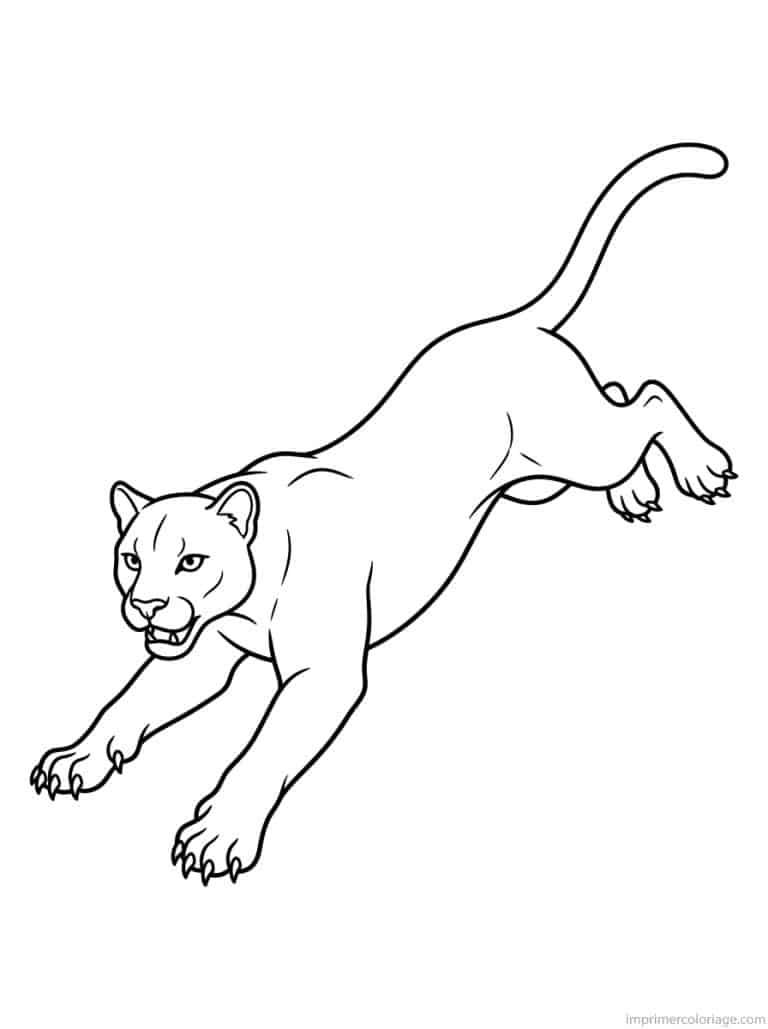 coloriage puma bond air - dessin gratuit &agrave; imprimer