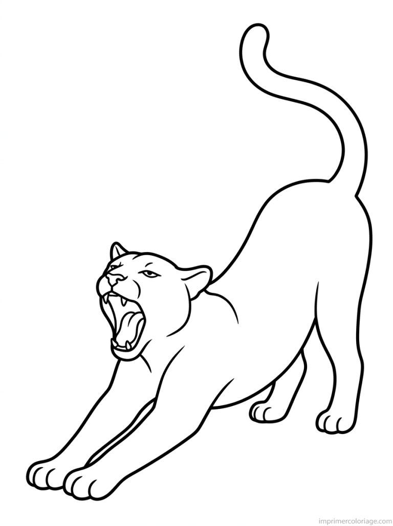 coloriage puma etire baillement - dessin gratuit &agrave; imprimer