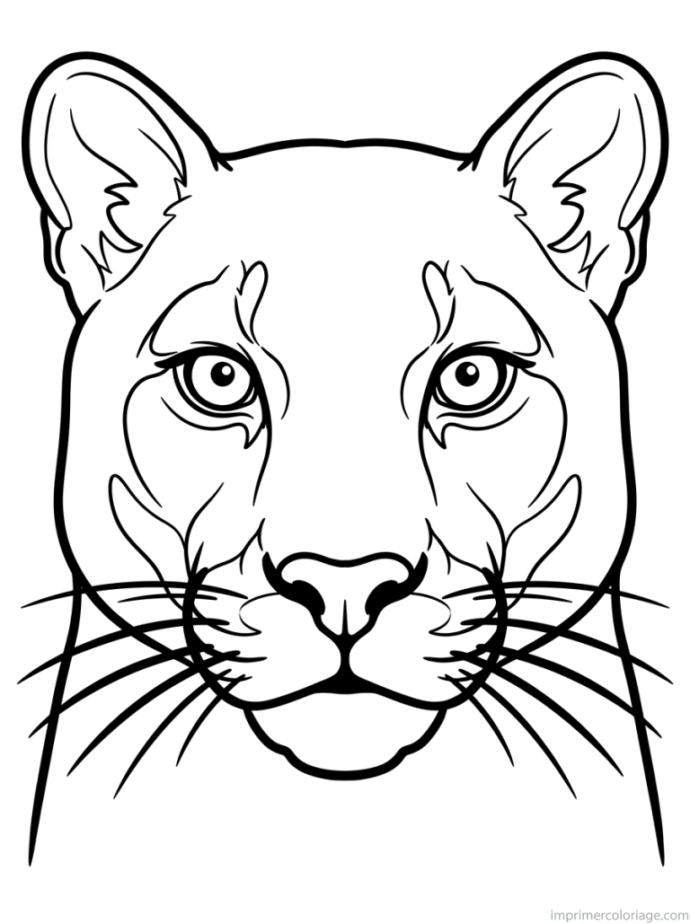 coloriage puma portrait visage - dessin gratuit &agrave; imprimer