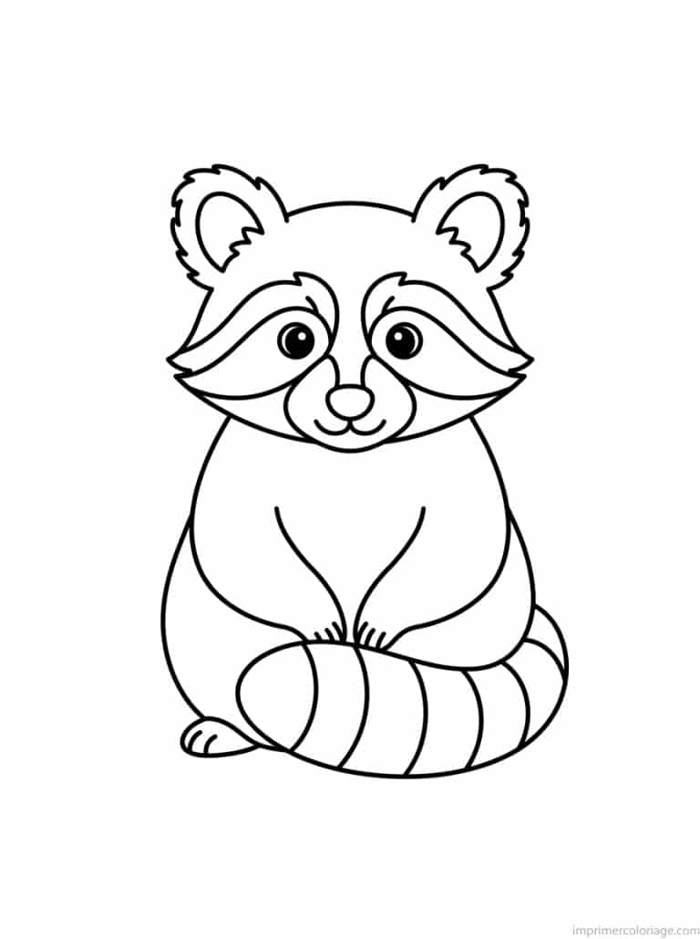 coloriage raton laveur assis queue - dessin gratuit &agrave; imprimer