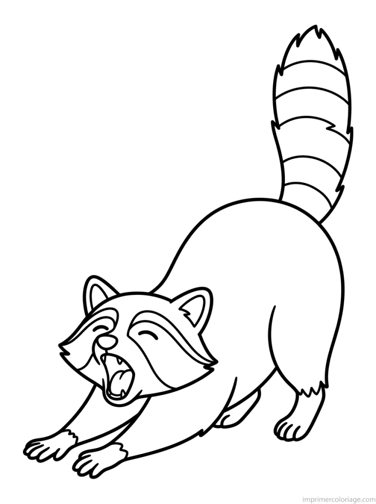 coloriage raton laveur etire baillement - dessin gratuit &agrave; imprimer