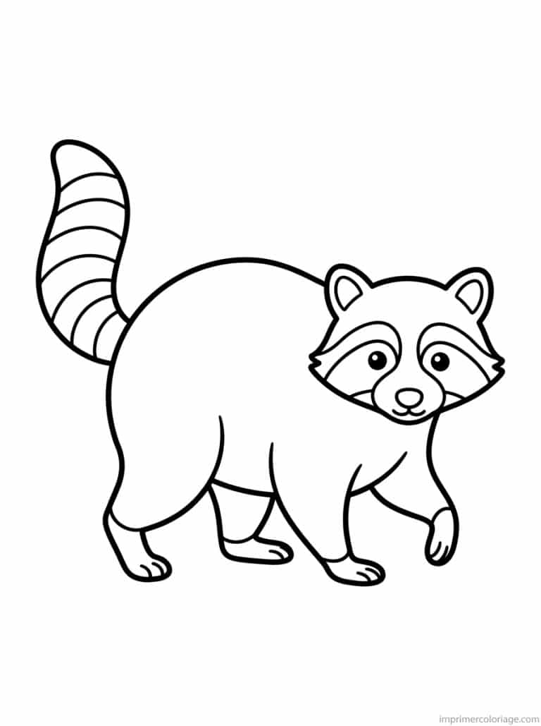 coloriage raton laveur marche queue - dessin gratuit &agrave; imprimer