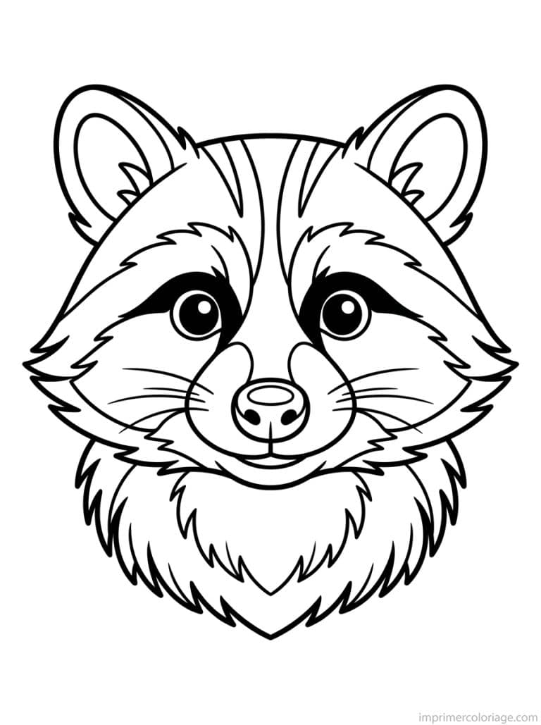 coloriage raton laveur portrait masque - dessin gratuit &agrave; imprimer
