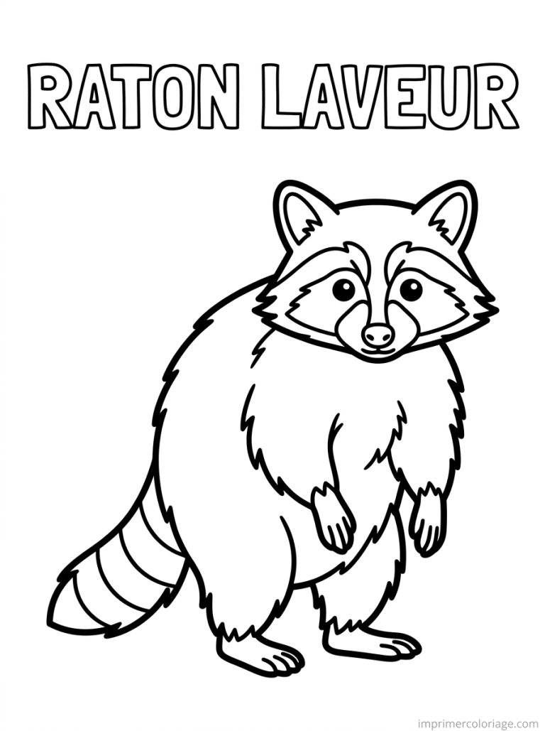 coloriage raton laveur titre haut - dessin gratuit &agrave; imprimer