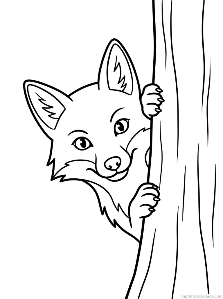 coloriage renard cache arbre - dessin gratuit &agrave; imprimer