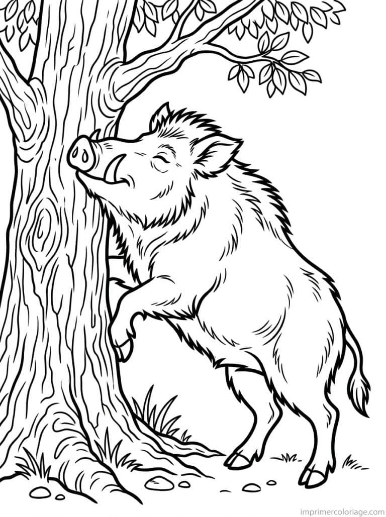 coloriage sanglier gratte arbre - dessin gratuit &agrave; imprimer