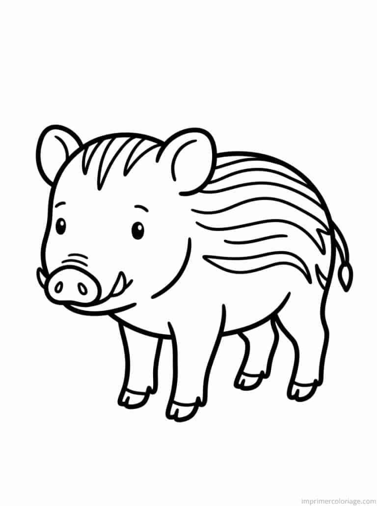 coloriage sanglier marcassin rayures - dessin gratuit &agrave; imprimer