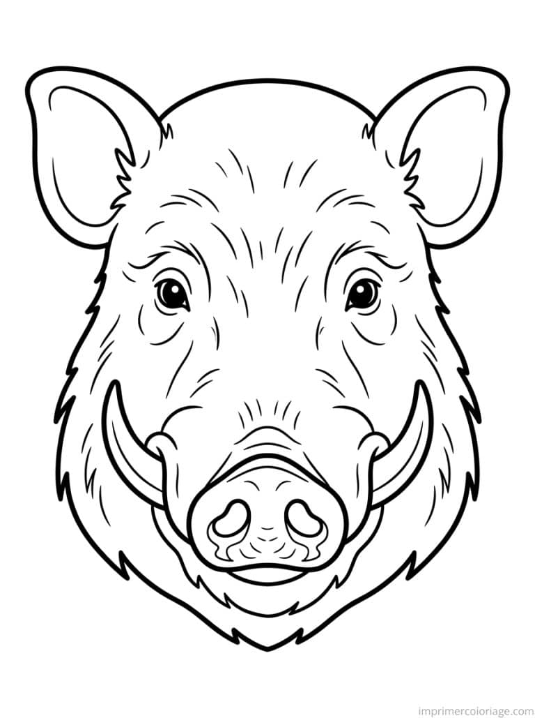 coloriage sanglier portrait groin - dessin gratuit &agrave; imprimer