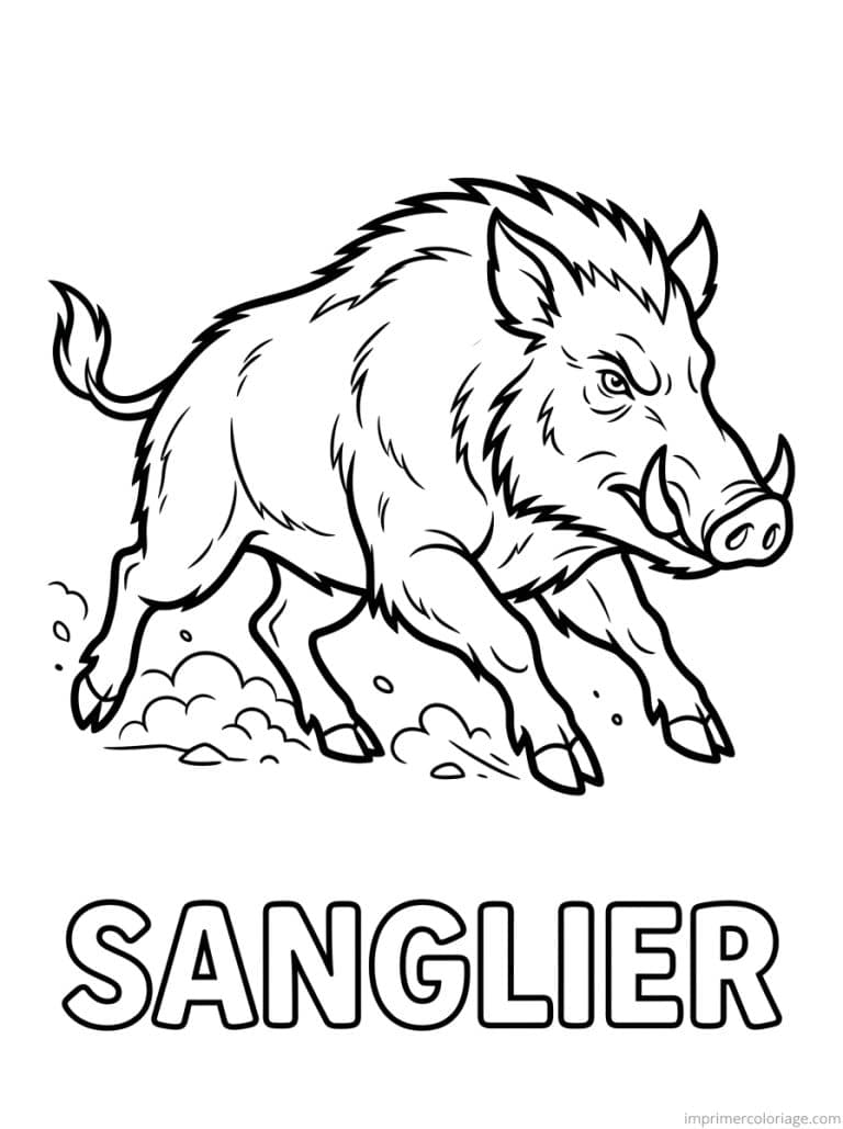 coloriage sanglier titre bas - dessin gratuit &agrave; imprimer