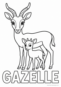 coloriage gazelle avec bebe - dessin gratuit à imprimer
