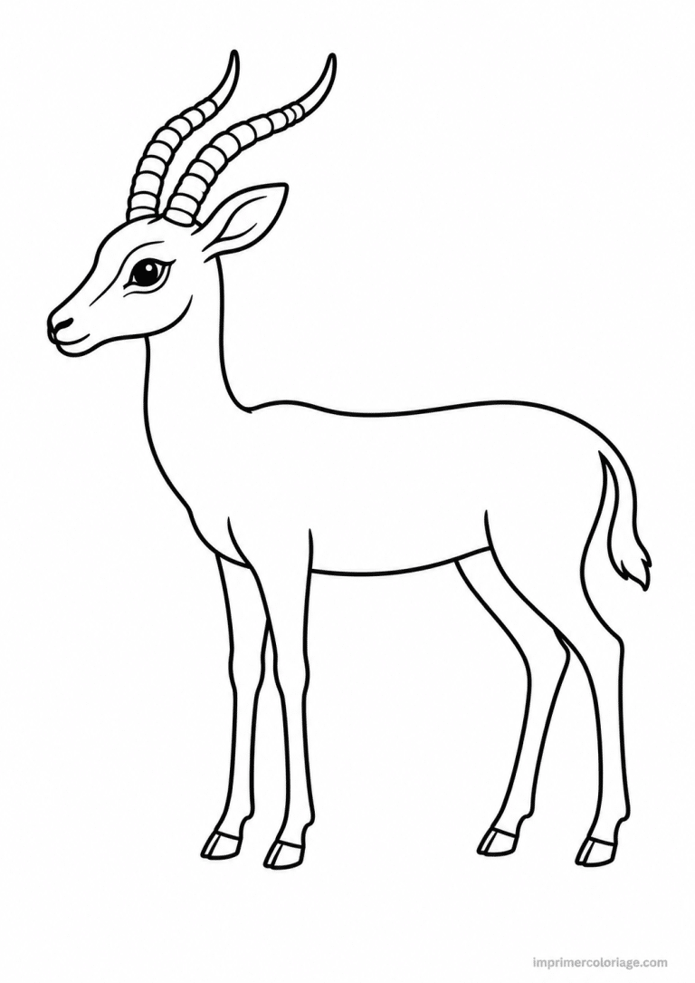 coloriage gazelle jolie à imprimer coloriage gazelle jolie - dessin gratuit à imprimer
