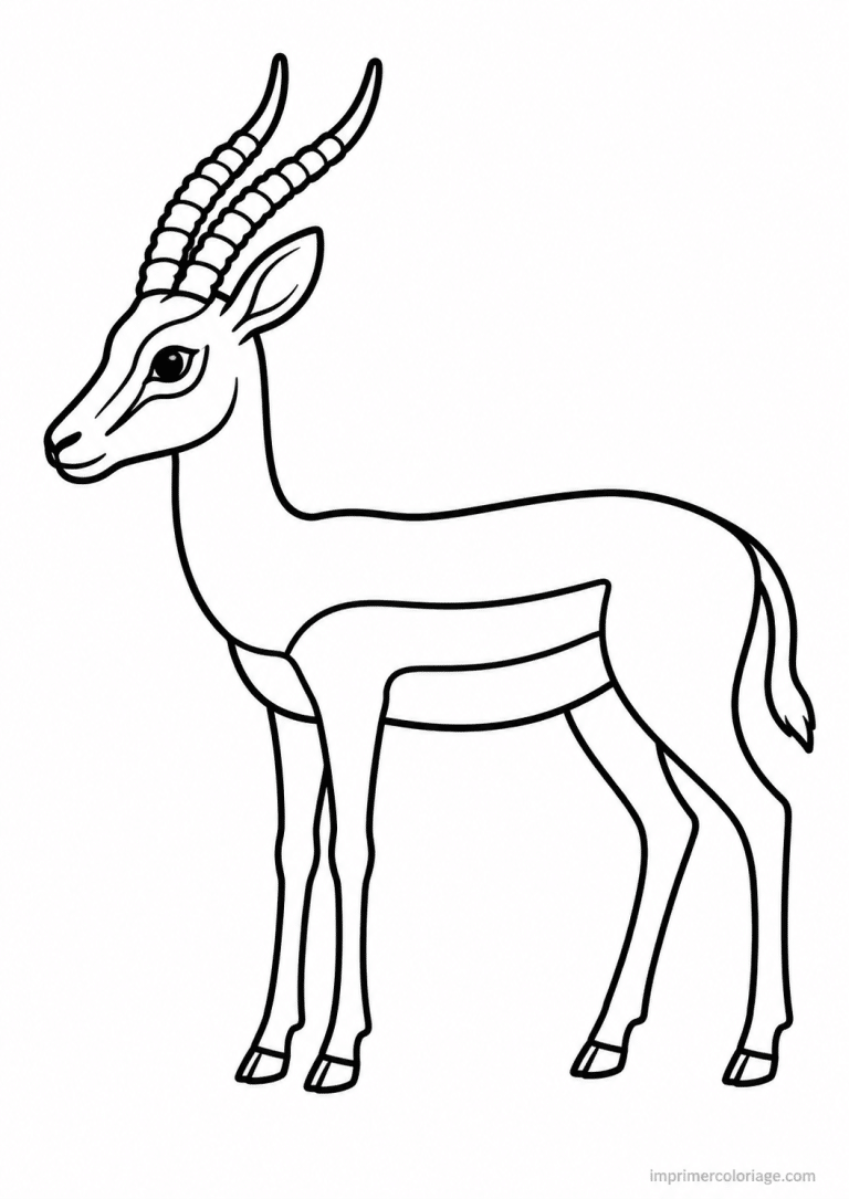 coloriage gazelle simple à imprimer coloriage gazelle simple - dessin gratuit à imprimer