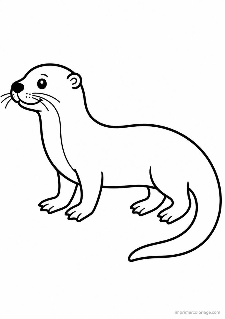 coloriage loutre trait epais profil à imprimer coloriage loutre trait epais profil - dessin gratuit à imprimer
