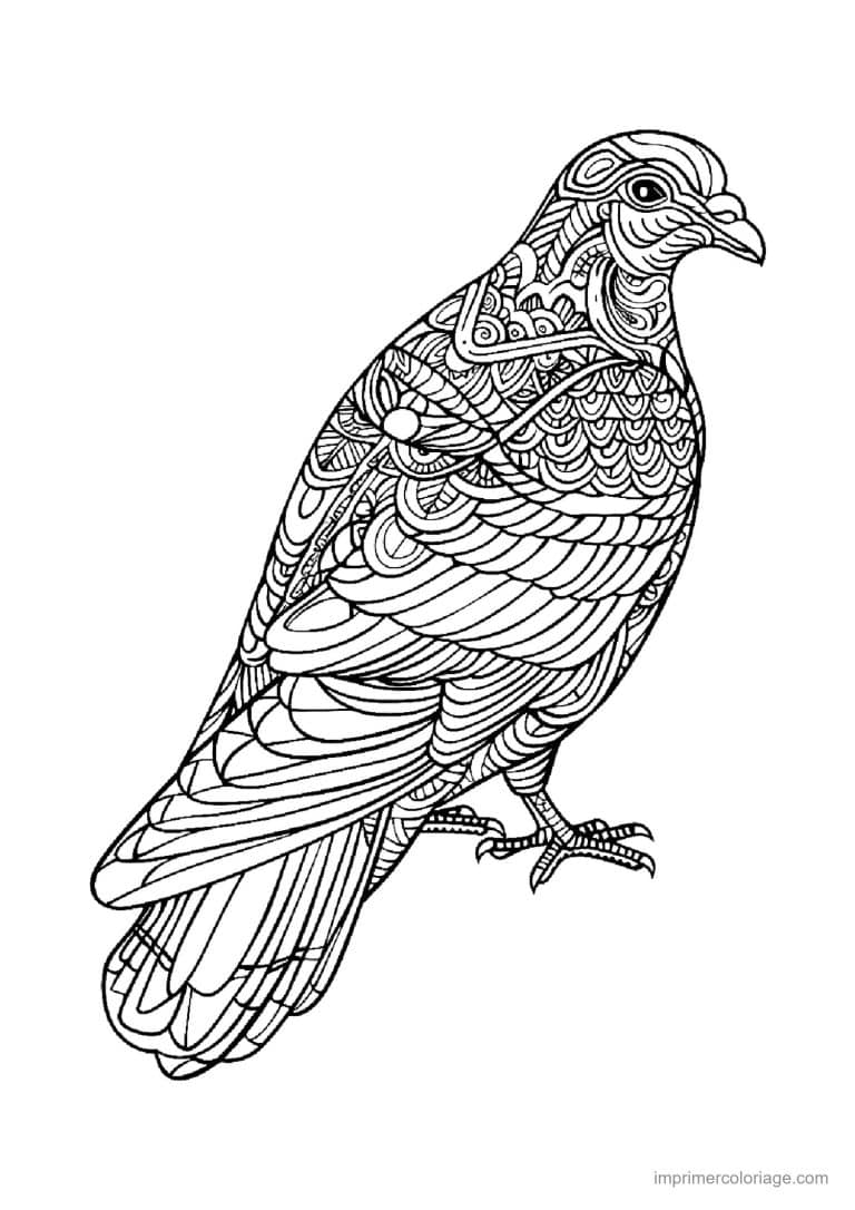 coloriage aigle mandala 03 - dessin gratuit &agrave; imprimer