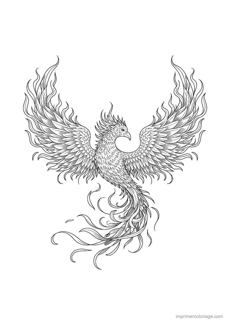 coloriage aigle mandala 04 - dessin gratuit &agrave; imprimer