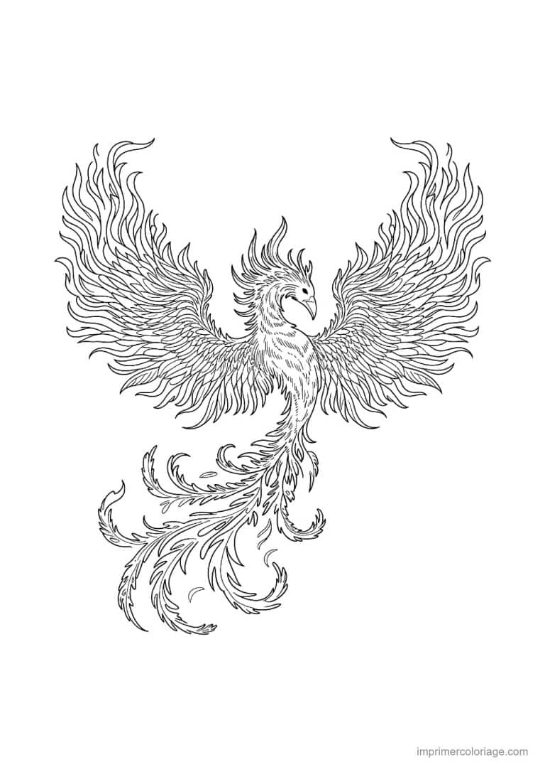 coloriage aigle mandala 06 - dessin gratuit &agrave; imprimer