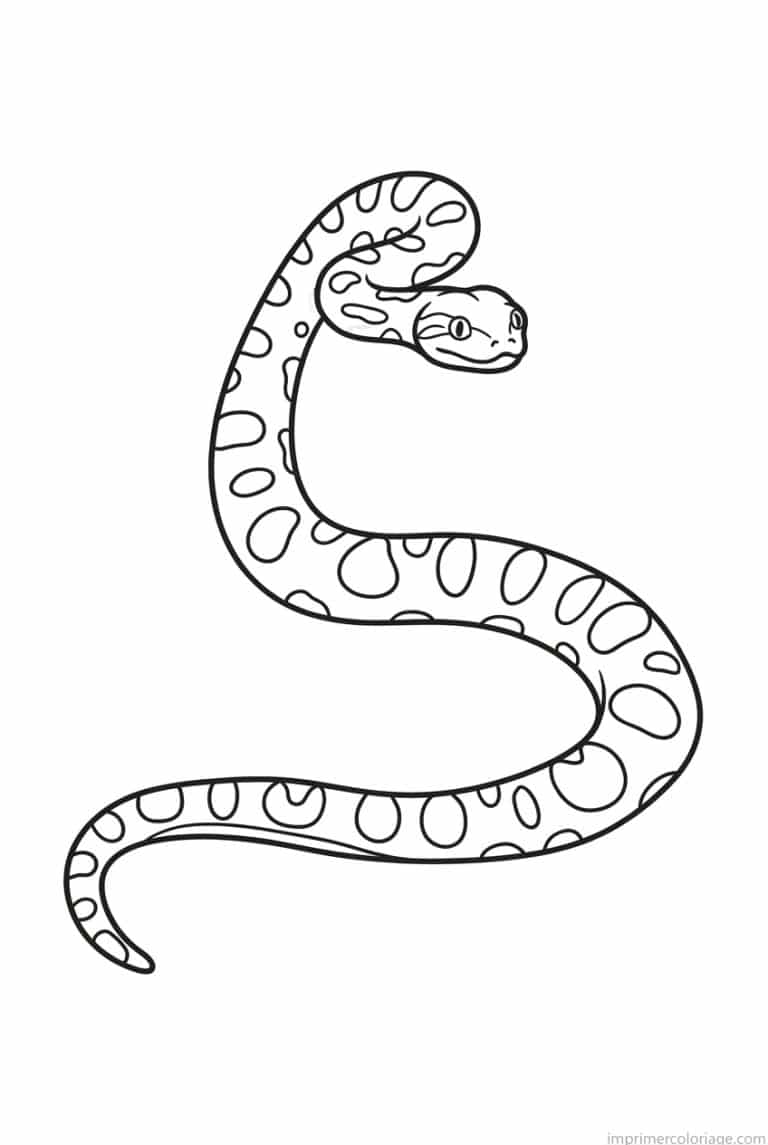 coloriage anaconda bebe fin motifs à imprimer coloriage anaconda bebe fin motifs - dessin gratuit à imprimer