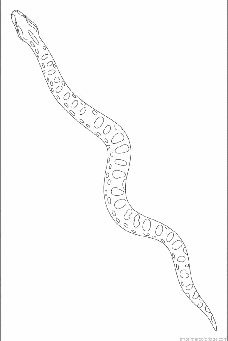 coloriage anaconda longueur diagonale à imprimer coloriage anaconda longueur diagonale - dessin gratuit à imprimer