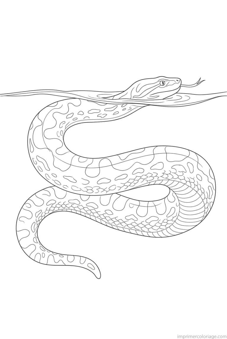 coloriage anaconda nage tete visible à imprimer coloriage anaconda nage tete visible - dessin gratuit à imprimer