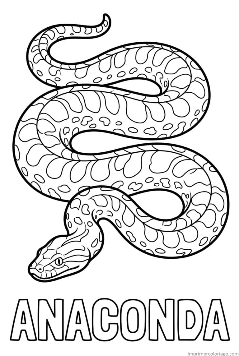 coloriage anaconda titre bas à imprimer coloriage anaconda titre bas - dessin gratuit à imprimer