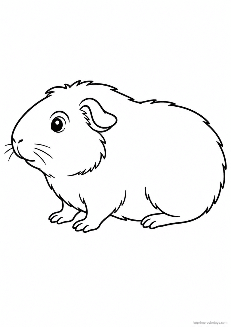 coloriage animaux compagnie cochon inde - dessin gratuit &agrave; imprimer