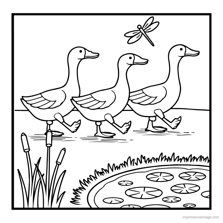 coloriage animaux de la ferme trois oies a la queue leu leu - dessin gratuit &agrave; imprimer