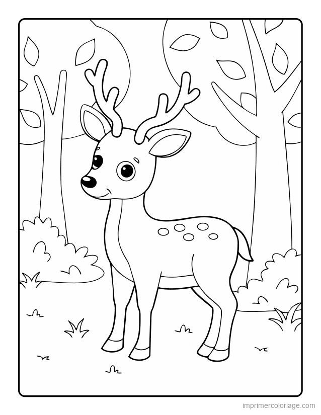 coloriage animaux foret cerf 11 à imprimer coloriage animaux foret cerf 11 - dessin gratuit à imprimer
