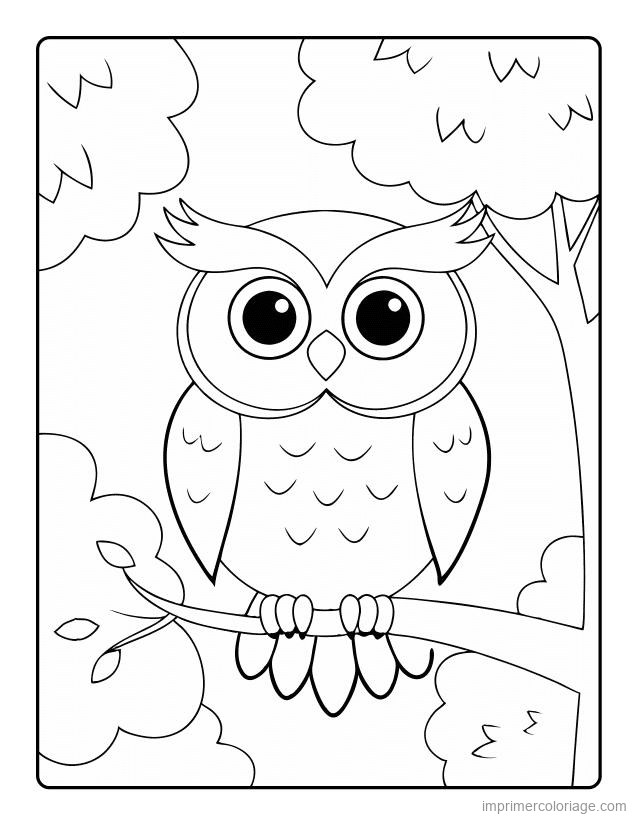 coloriage animaux foret hibou 10 à imprimer coloriage animaux foret hibou 10 - dessin gratuit à imprimer