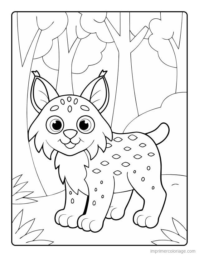 coloriage animaux foret lynx 1 à imprimer coloriage animaux foret lynx 1 - dessin gratuit à imprimer