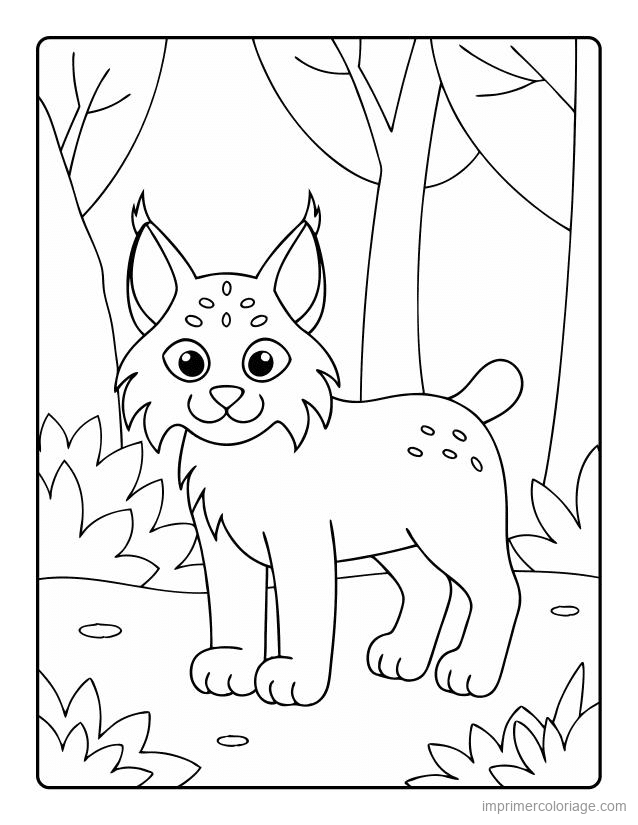coloriage animaux foret lynx 2 à imprimer coloriage animaux foret lynx 2 - dessin gratuit à imprimer