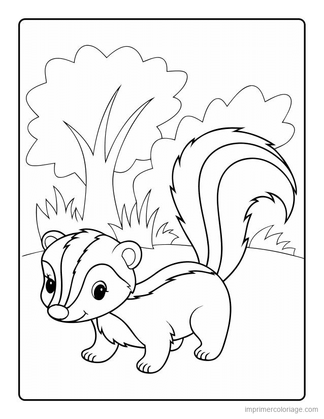 coloriage animaux foret mouffette 2 à imprimer coloriage animaux foret mouffette 2 - dessin gratuit à imprimer