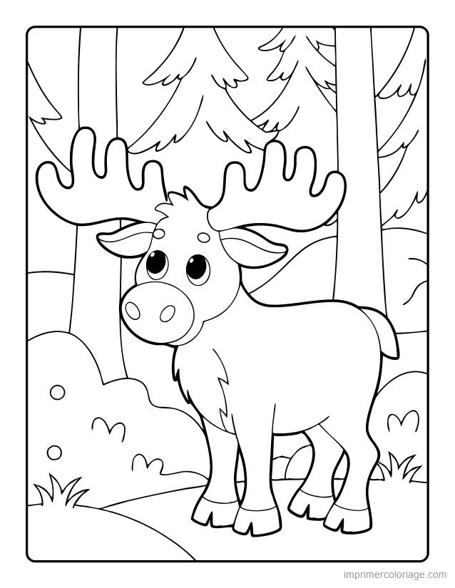 coloriage animaux foret orignal 2 à imprimer coloriage animaux foret orignal 2 - dessin gratuit à imprimer