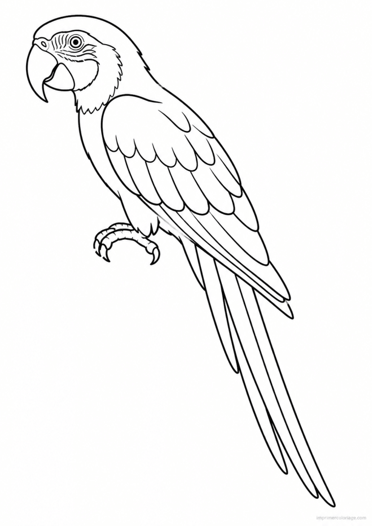 coloriage ara macaw queue profil - dessin gratuit &agrave; imprimer
