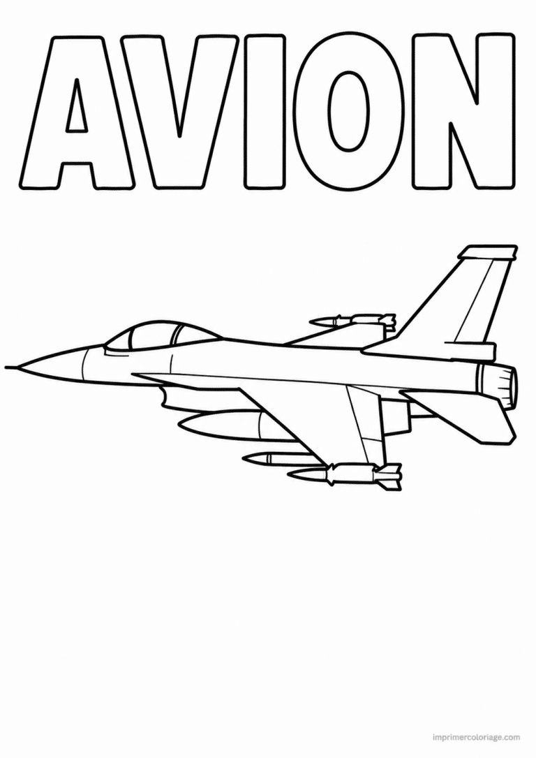 coloriage avion titre chasse reacteur à imprimer coloriage avion titre chasse reacteur - dessin gratuit à imprimer