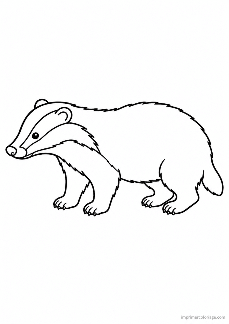 coloriage blaireau foret rayures profil à imprimer coloriage blaireau foret rayures profil - dessin gratuit à imprimer