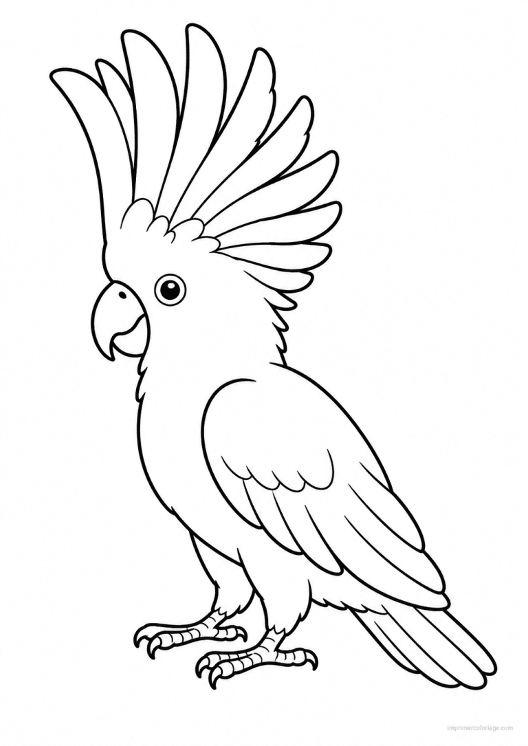 coloriage cacatoes huppe dressee - dessin gratuit &agrave; imprimer