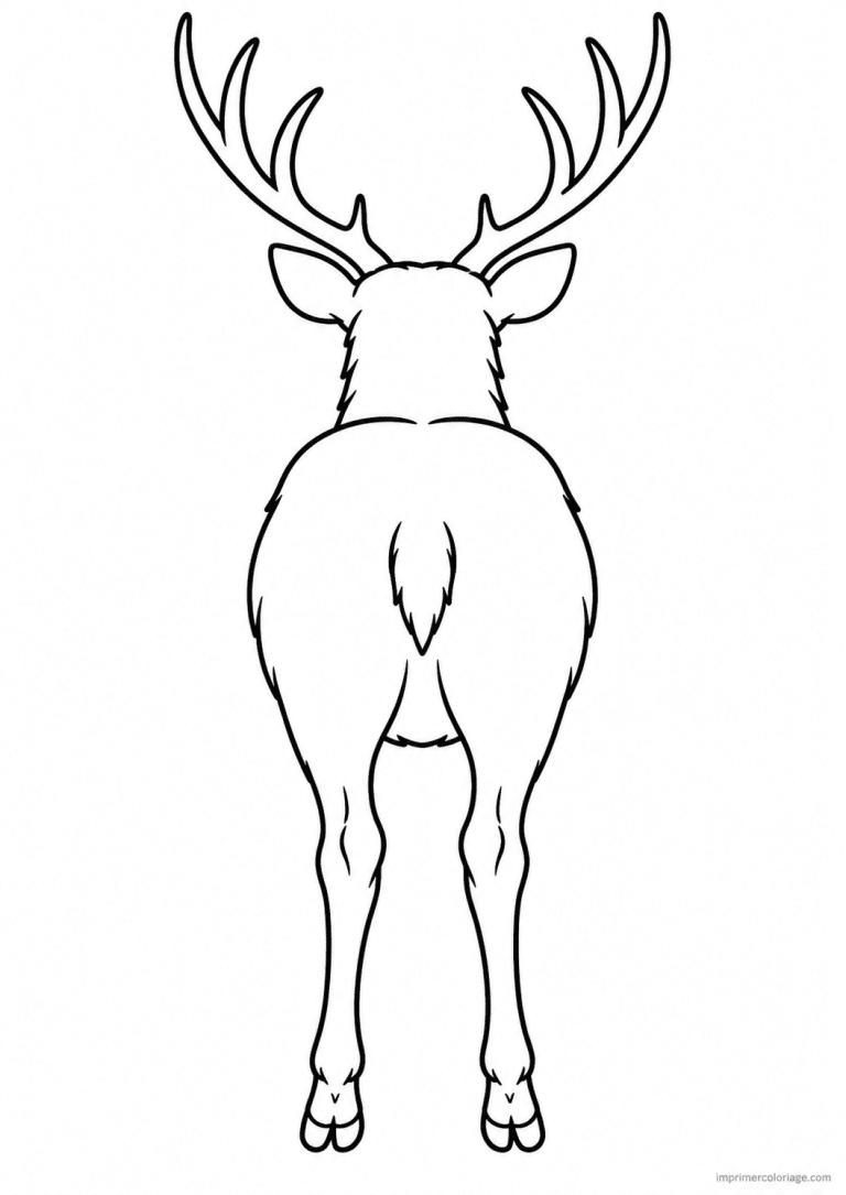 coloriage cerf dos arriere bois - dessin gratuit &agrave; imprimer