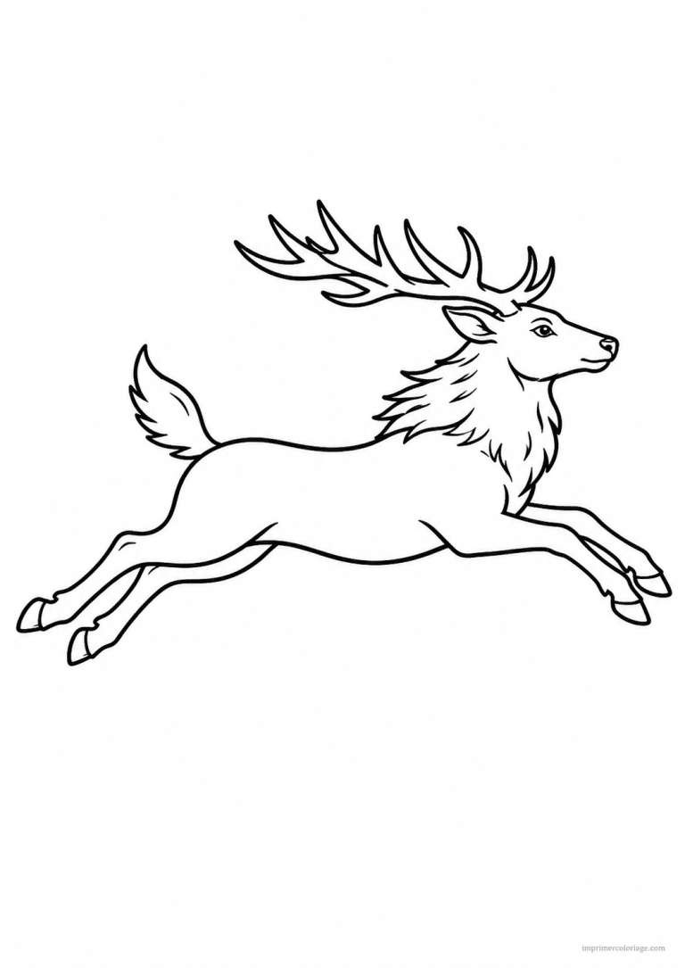 coloriage cerf galop bois vitesse - dessin gratuit &agrave; imprimer