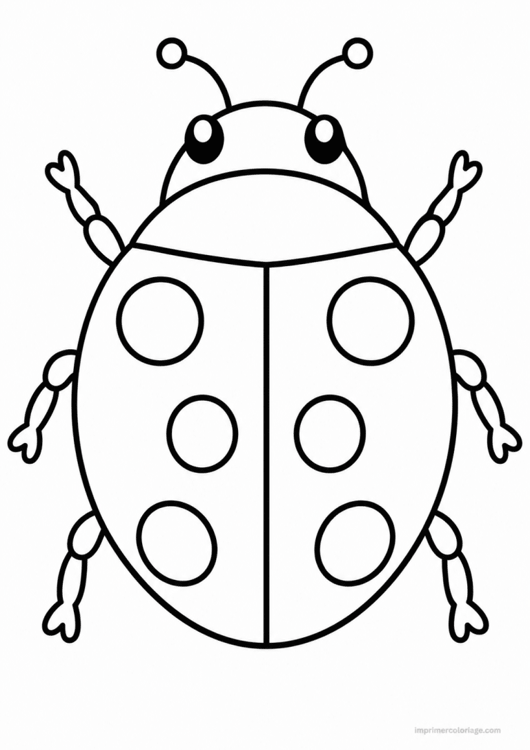 coloriage coccinelle epais dessus pattes - dessin gratuit &agrave; imprimer
