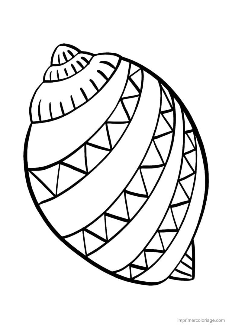 coloriage coquillage buccin - dessin gratuit &agrave; imprimer