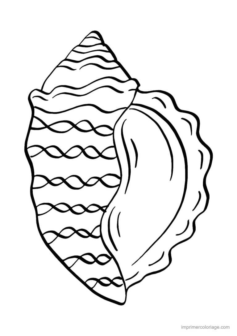 coloriage coquillage casque - dessin gratuit &agrave; imprimer