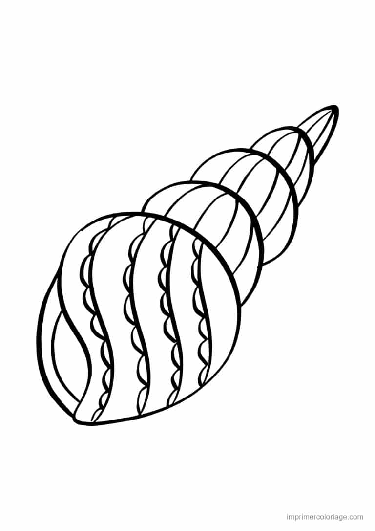 coloriage coquillage fuseau - dessin gratuit &agrave; imprimer