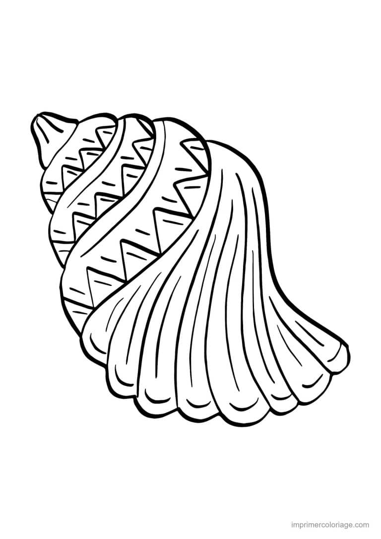 coloriage coquillage harpe - dessin gratuit &agrave; imprimer