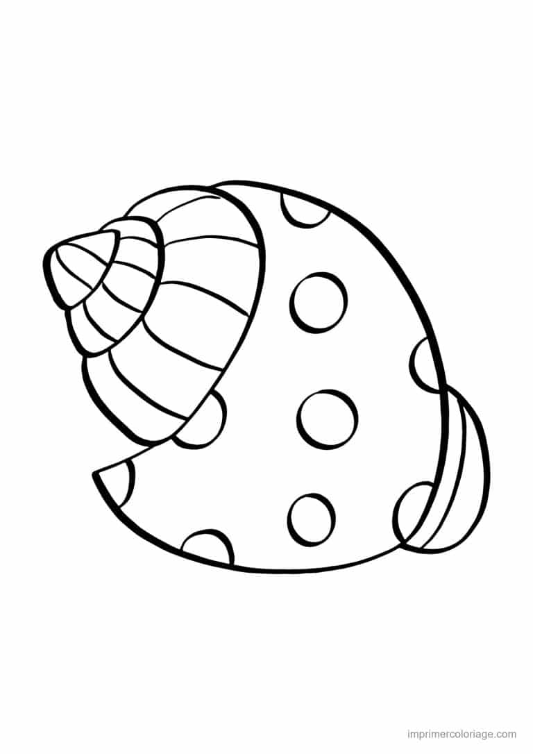 coloriage coquillage natice - dessin gratuit &agrave; imprimer