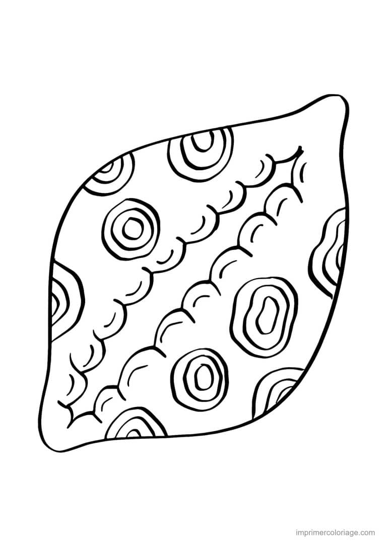 coloriage coquillage porcelaine - dessin gratuit &agrave; imprimer