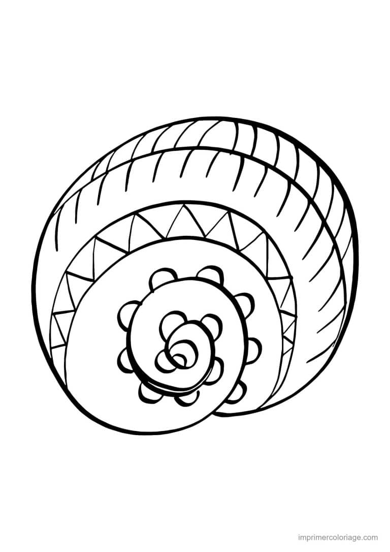 coloriage coquillage spirale plate - dessin gratuit &agrave; imprimer